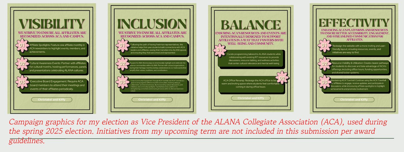 Four campaign posters titled Visibility, Inclusion, Balance and Effectivity, each listing numbered platform goals